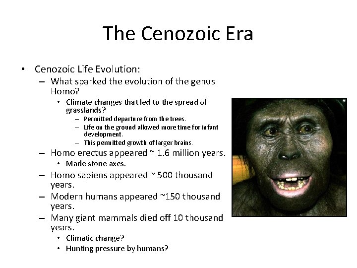 The Cenozoic Era • Cenozoic Life Evolution: – What sparked the evolution of the
