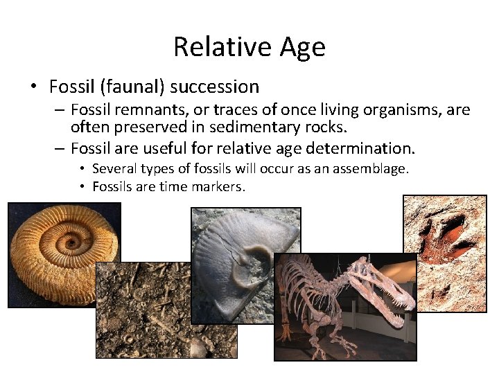 Relative Age • Fossil (faunal) succession – Fossil remnants, or traces of once living