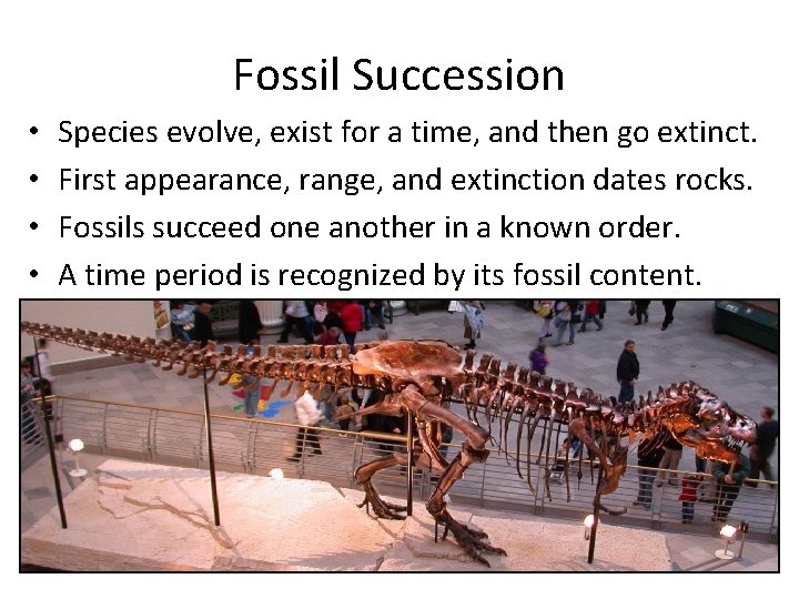 Fossil Succession • • Species evolve, exist for a time, and then go extinct.