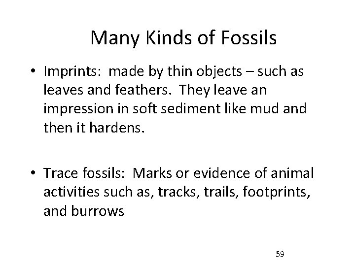 Many Kinds of Fossils • Imprints: made by thin objects – such as leaves
