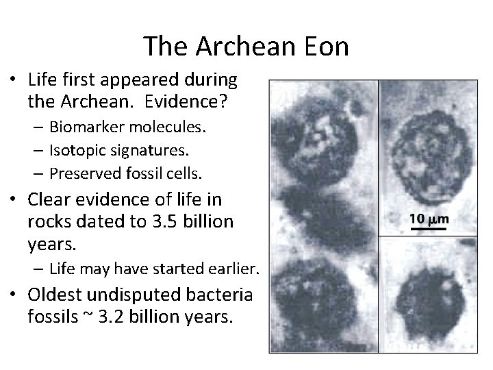 The Archean Eon • Life first appeared during the Archean. Evidence? – Biomarker molecules.