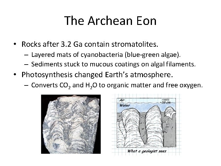 The Archean Eon • Rocks after 3. 2 Ga contain stromatolites. – Layered mats