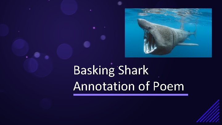 Basking Shark Annotation of Poem 