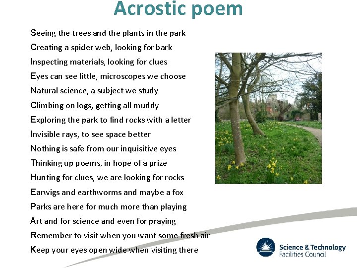 Acrostic poem Seeing the trees and the plants in the park Creating a spider