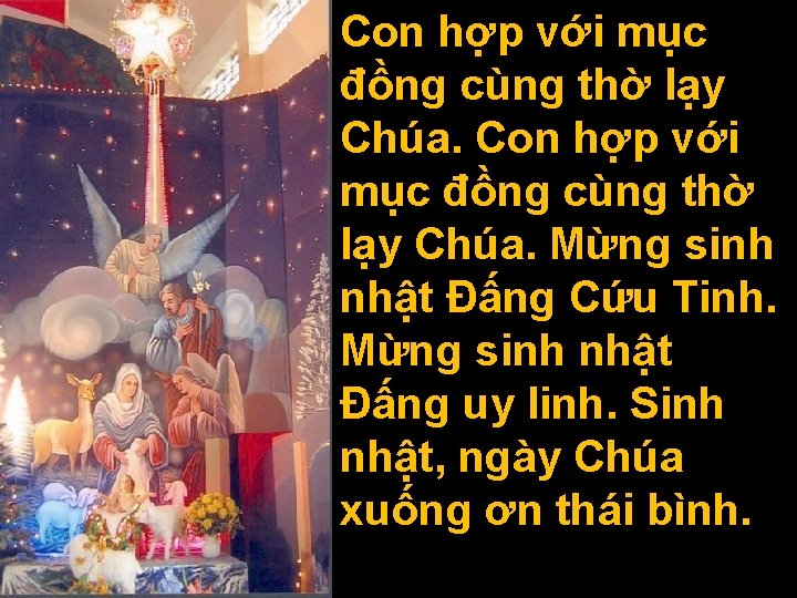 Con hợp với mục đồng cùng thờ lạy Chúa. Mừng sinh nhật Ðấng Cứu