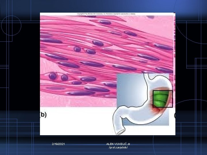 2/19/2021 ALEN VUKELIĆ, dr /prof. savjetnik/ 