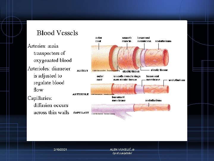2/19/2021 ALEN VUKELIĆ, dr /prof. savjetnik/ 