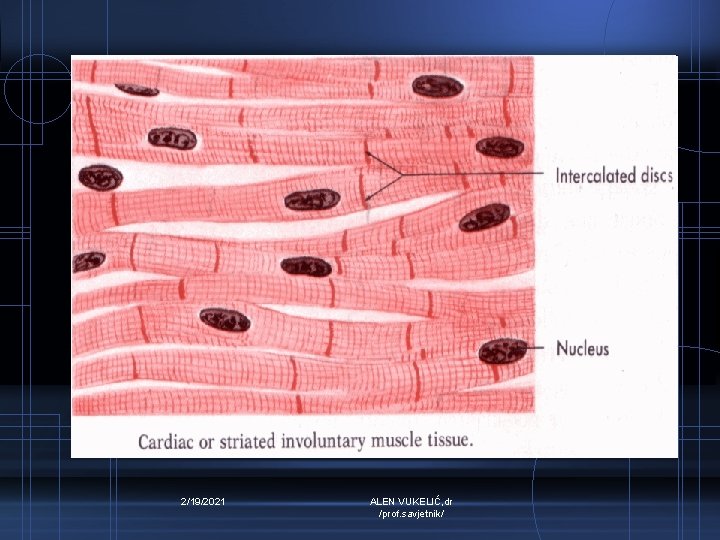 2/19/2021 ALEN VUKELIĆ, dr /prof. savjetnik/ 