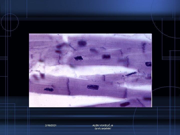 2/19/2021 ALEN VUKELIĆ, dr /prof. savjetnik/ 