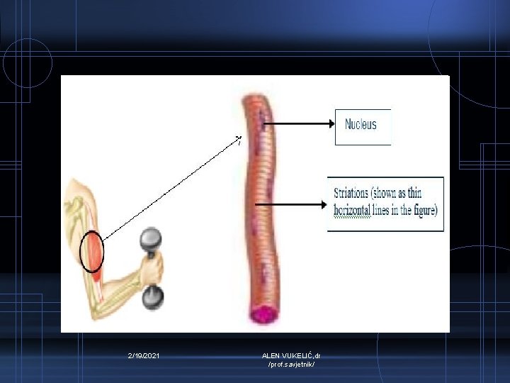 2/19/2021 ALEN VUKELIĆ, dr /prof. savjetnik/ 
