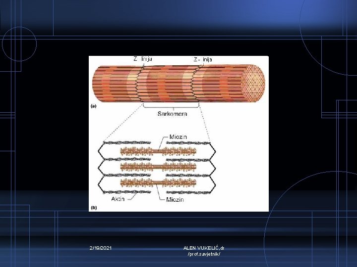 2/19/2021 ALEN VUKELIĆ, dr /prof. savjetnik/ 