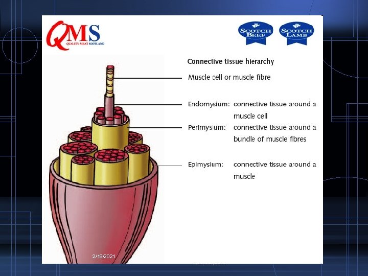 2/19/2021 ALEN VUKELIĆ, dr /prof. savjetnik/ 