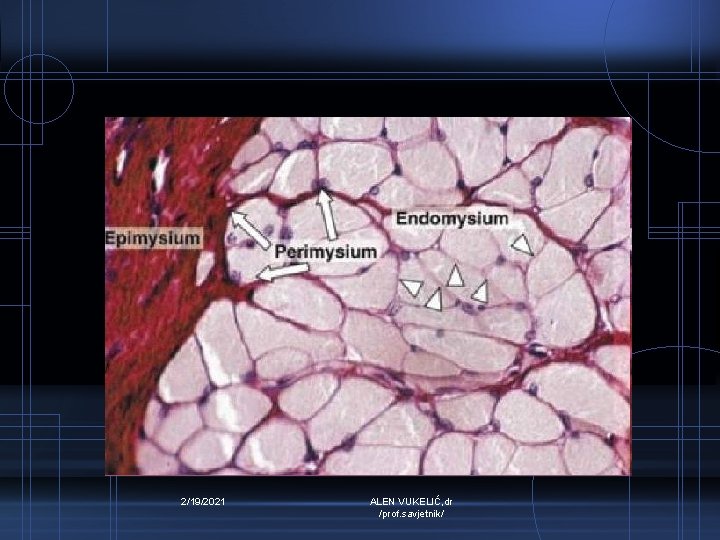 2/19/2021 ALEN VUKELIĆ, dr /prof. savjetnik/ 