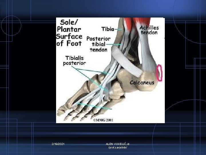 2/19/2021 ALEN VUKELIĆ, dr /prof. savjetnik/ 