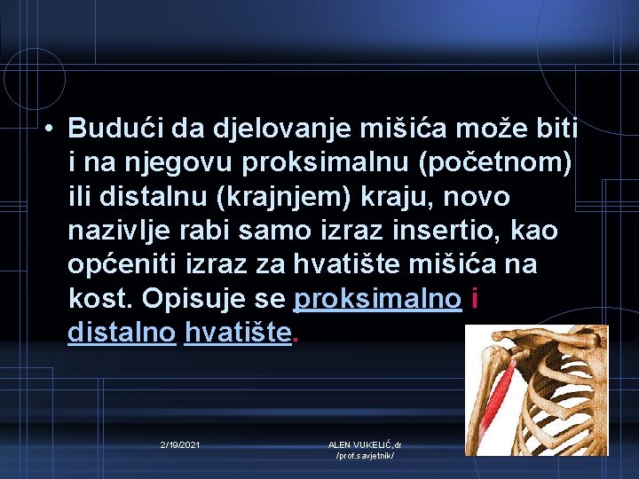  • Budući da djelovanje mišića može biti i na njegovu proksimalnu (početnom) ili