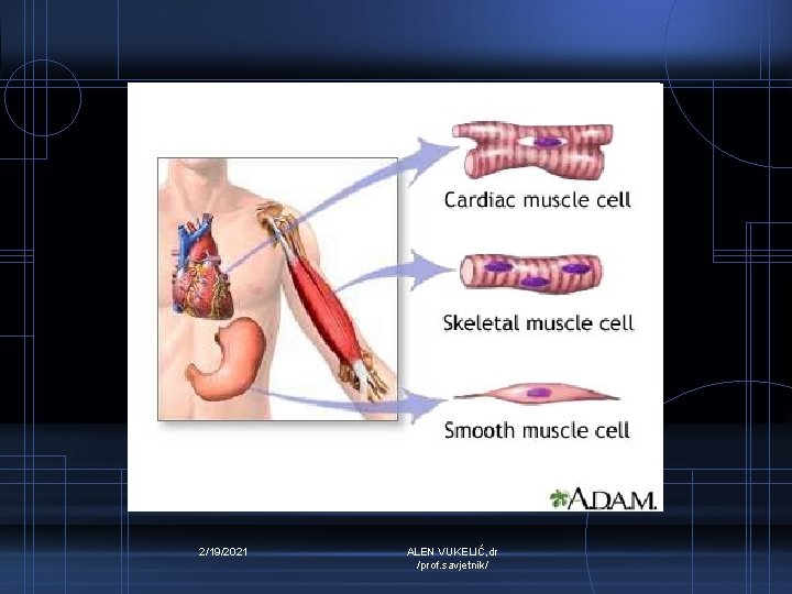 2/19/2021 ALEN VUKELIĆ, dr /prof. savjetnik/ 