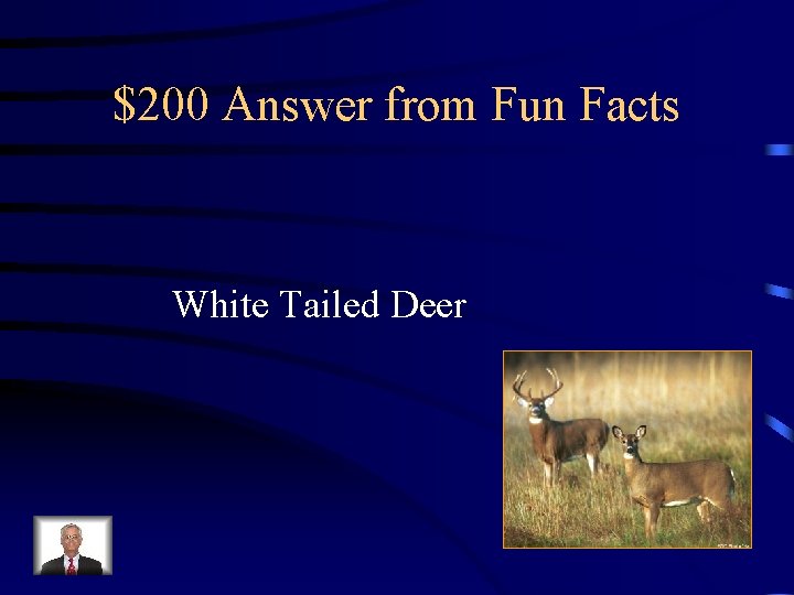 $200 Answer from Fun Facts White Tailed Deer 