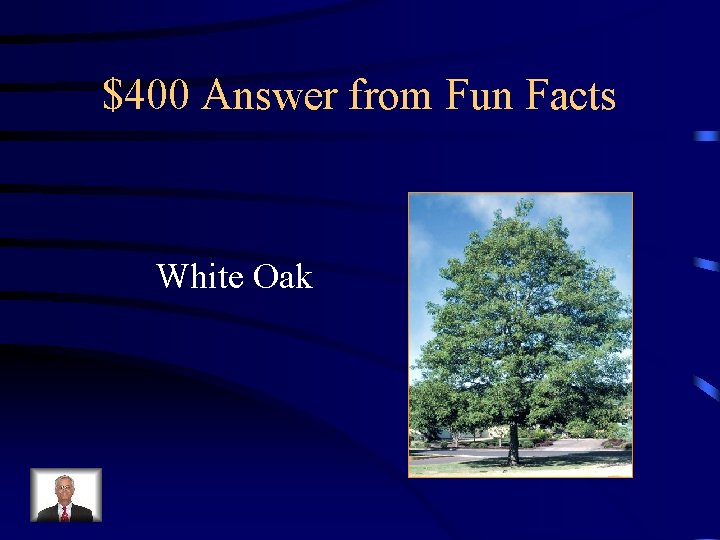 $400 Answer from Fun Facts White Oak 