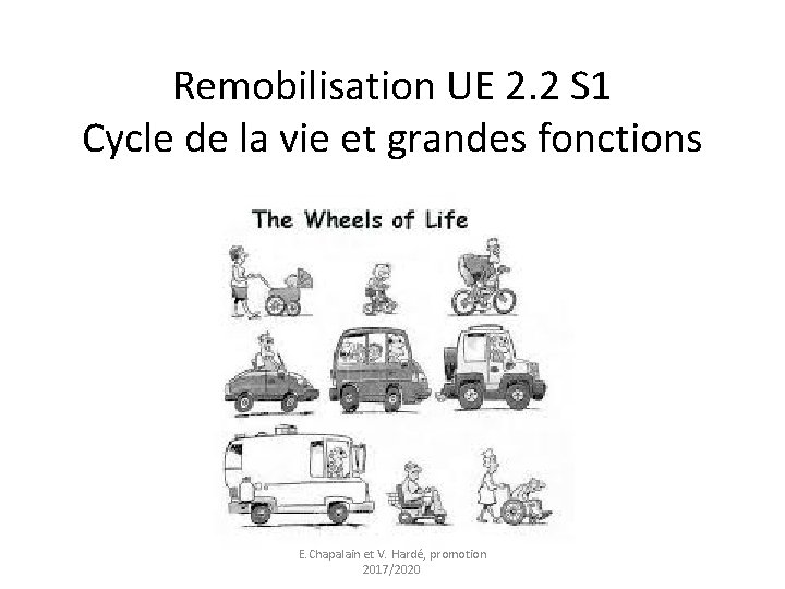 Remobilisation UE 2. 2 S 1 Cycle de la vie et grandes fonctions E.