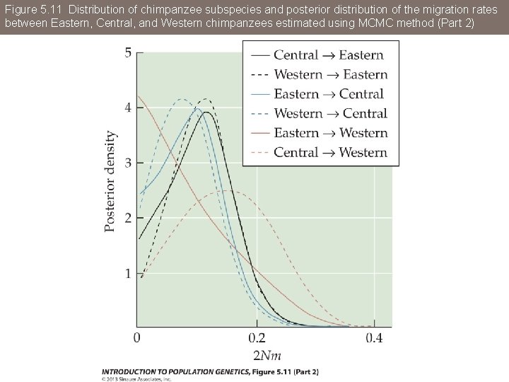 Figure 5. 11 Distribution of chimpanzee subspecies and posterior distribution of the migration rates