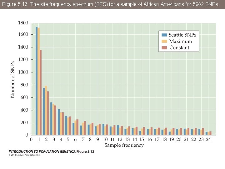 Figure 5. 13 The site frequency spectrum (SFS) for a sample of African Americans