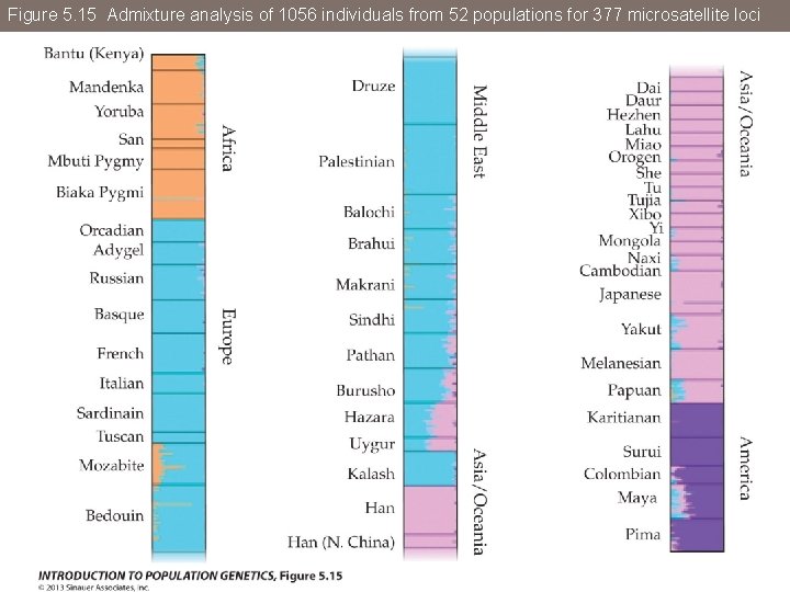 Figure 5. 15 Admixture analysis of 1056 individuals from 52 populations for 377 microsatellite