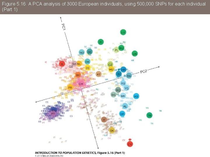 Figure 5. 16 A PCA analysis of 3000 European individuals, using 500, 000 SNPs