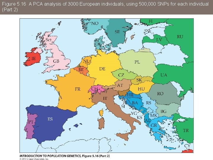 Figure 5. 16 A PCA analysis of 3000 European individuals, using 500, 000 SNPs