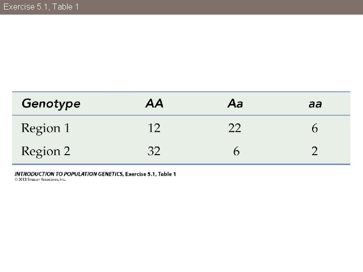 Exercise 5. 1, Table 1 