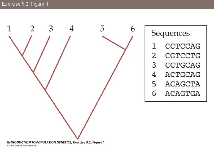 Exercise 5. 2, Figure 1 