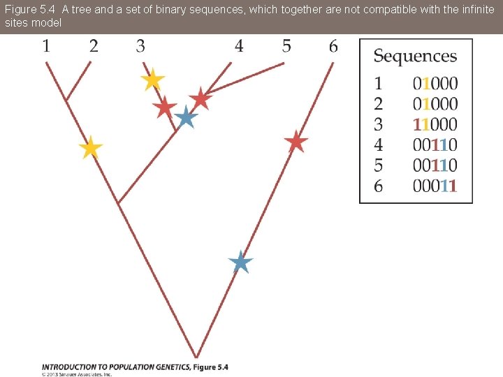 Figure 5. 4 A tree and a set of binary sequences, which together are