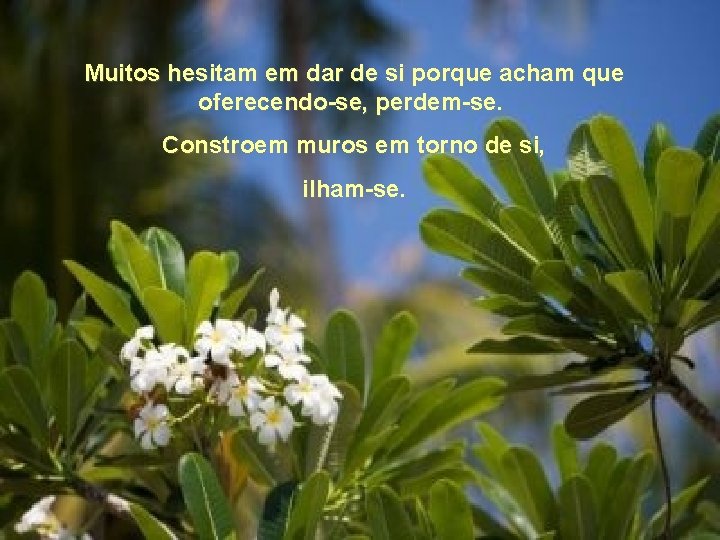 Muitos hesitam em dar de si porque acham que oferecendo-se, perdem-se. Constroem muros em