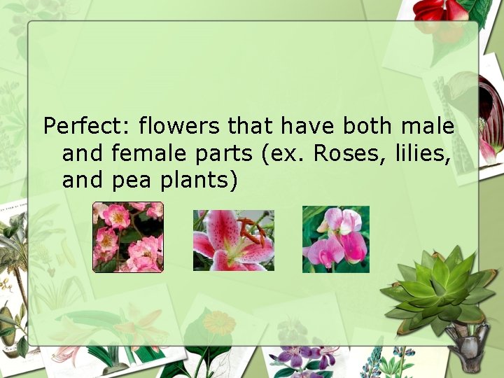Perfect: flowers that have both male and female parts (ex. Roses, lilies, and pea