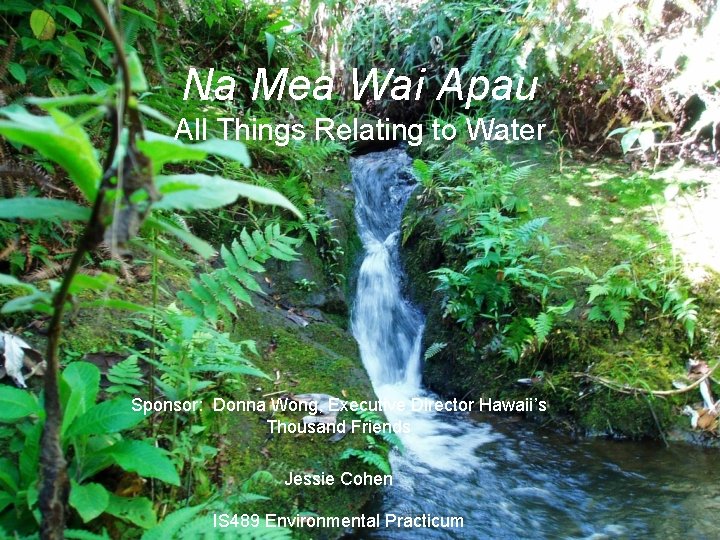 Na Mea Wai Apau All Things Relating to Water Sponsor: Donna Wong, Executive Director