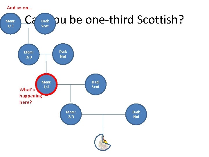 And so on. . . Mom: 1/3 Can you be one-third Scottish? Dad: Scot