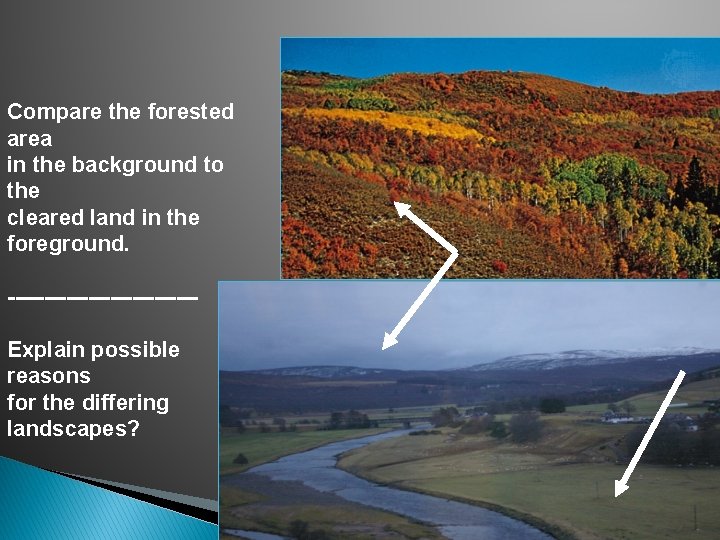 Compare the forested area in the background to the cleared land in the foreground.