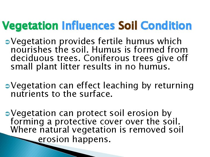 Vegetation Influences Soil Condition Vegetation provides fertile humus which nourishes the soil. Humus is