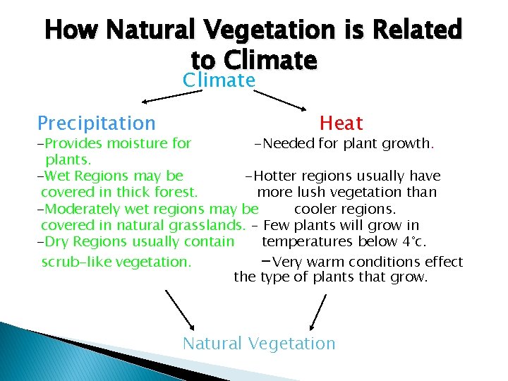 How Natural Vegetation is Related to Climate Precipitation Heat -Provides moisture for -Needed for