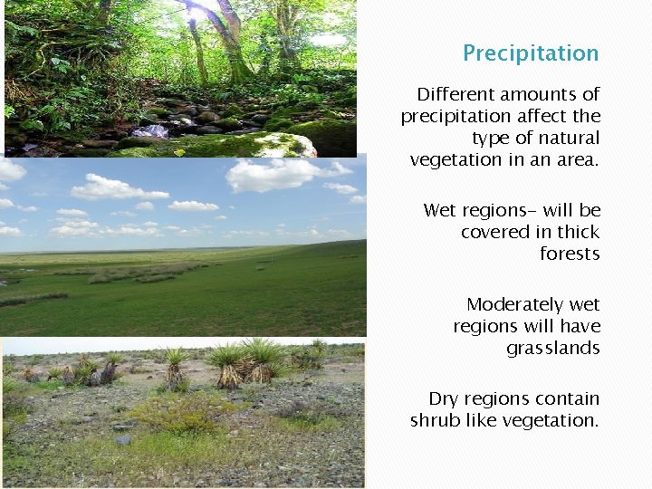 Precipitation Different amounts of precipitation affect the type of natural vegetation in an area.