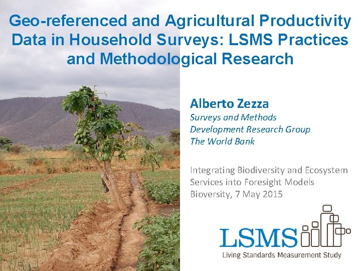 Geo-referenced and Agricultural Productivity Data in Household Surveys: LSMS Practices and Methodological Research Alberto
