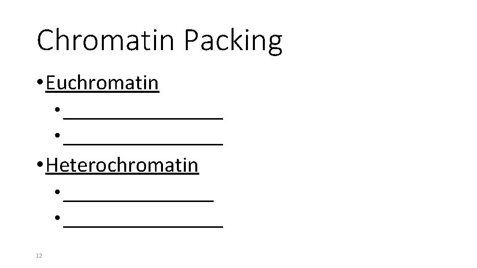 Chromatin Packing • Euchromatin • _________________ • Heterochromatin • _________________ 12 