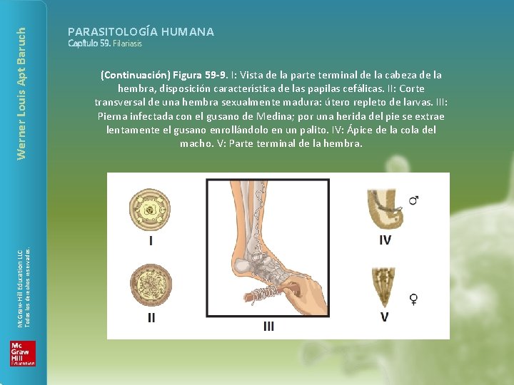 Werner Louis Apt Baruch Todos los derechos reservados. Mc. Graw-Hill Education LLC PARASITOLOGÍA HUMANA
