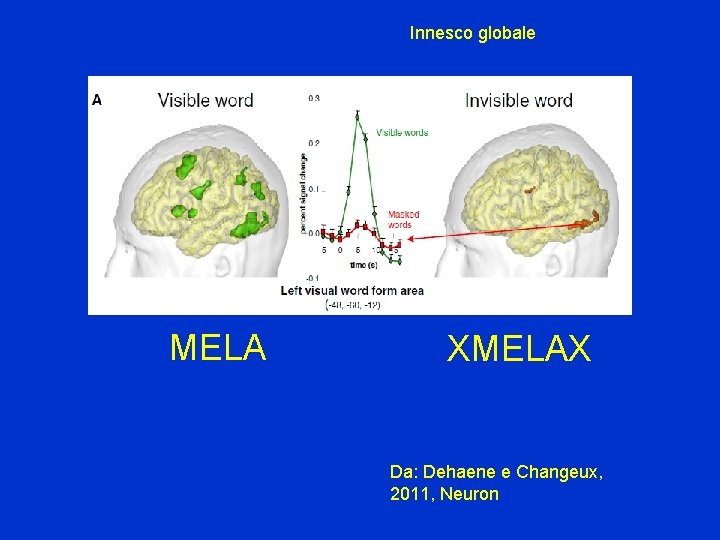 Innesco globale MELA XMELAX Da: Dehaene e Changeux, 2011, Neuron 