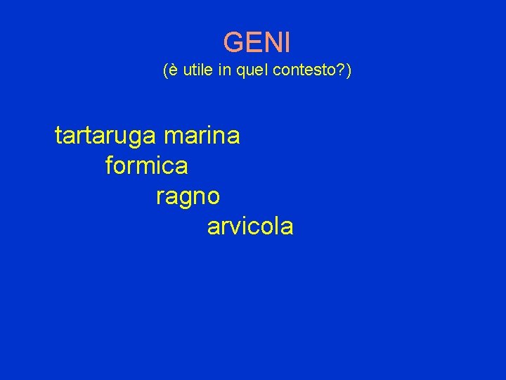 GENI (è utile in quel contesto? ) tartaruga marina formica ragno arvicola 