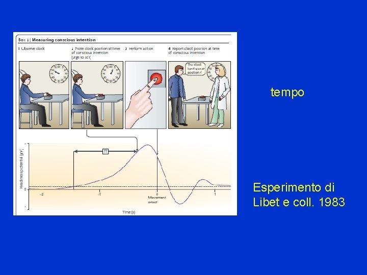 tempo Esperimento di Libet e coll. 1983 