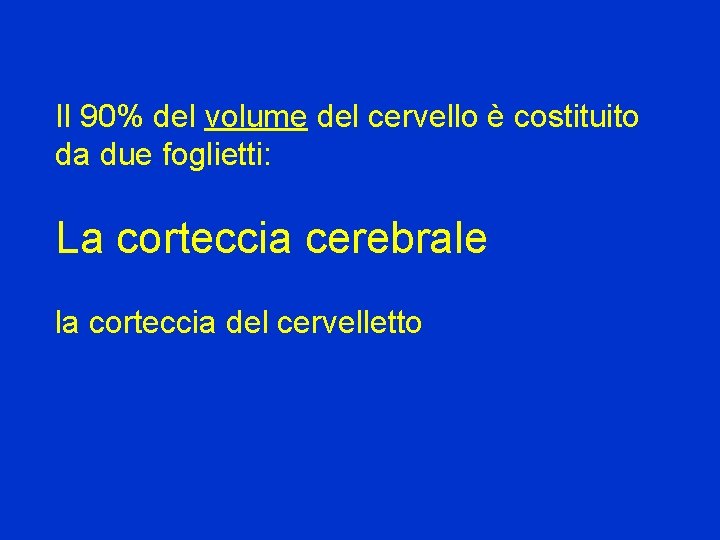 Il 90% del volume del cervello è costituito da due foglietti: La corteccia cerebrale