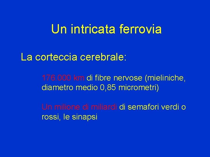 Un intricata ferrovia La corteccia cerebrale: 176. 000 km di fibre nervose (mieliniche, diametro