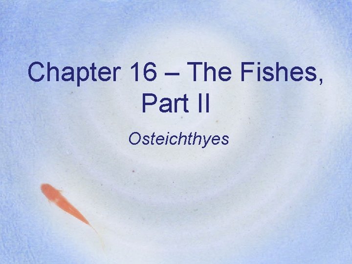 Chapter 16 – The Fishes, Part II Osteichthyes 