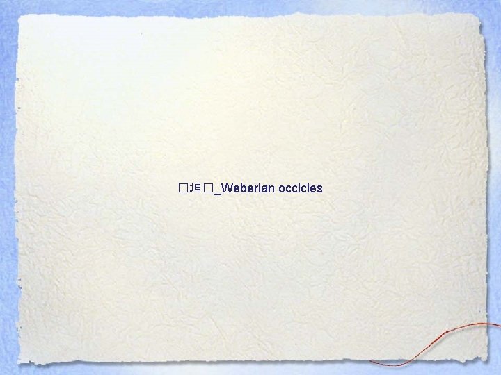 �坤�_Weberian occicles 