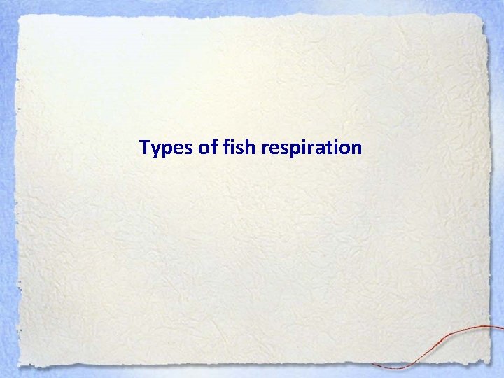 Types of fish respiration 